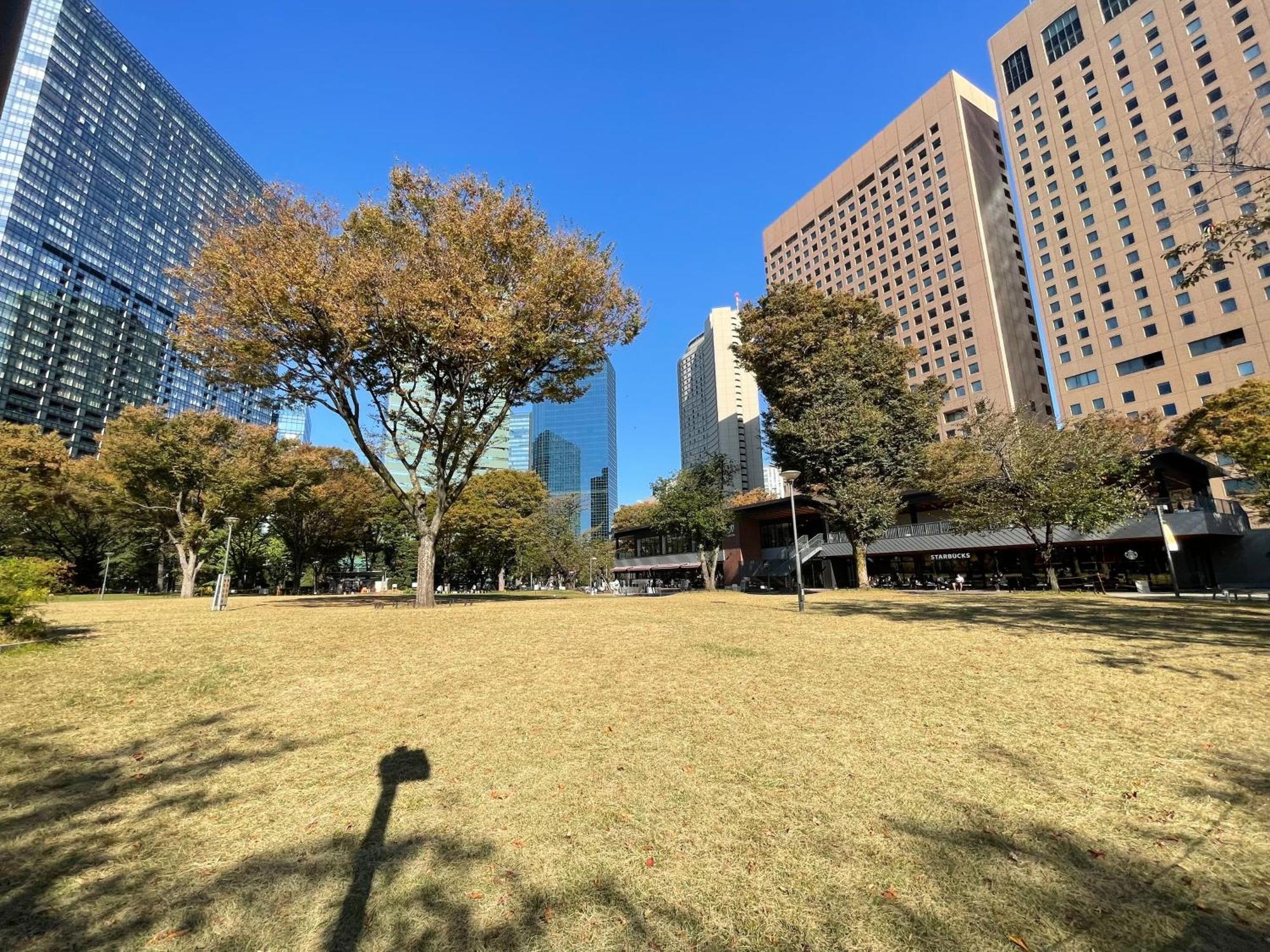 Max4People Shinjuku 7Minutes Shibuya12 Minutes 5Minutes Walk From Hatsudai Station Leon Resort Shibuya Präfektur Tokio Exterior foto